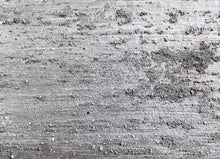 Load image into Gallery viewer, Enchanted Brushed Duet Wallcovering