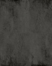Load image into Gallery viewer, Modern Plaster Black Bear Wallcovering