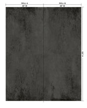 Load image into Gallery viewer, Modern Plaster Black Bear Wallcovering