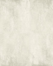 Load image into Gallery viewer, Modern Plaster Calm Air Wallcovering