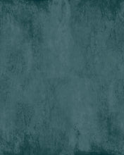 Load image into Gallery viewer, Modern Plaster Greg's Teal Wallcovering