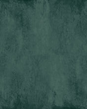 Load image into Gallery viewer, Modern Plaster Pine Wallcovering