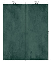 Load image into Gallery viewer, Modern Plaster Pine Wallcovering