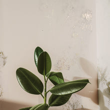 Load image into Gallery viewer, Igneous Calamine Wallcovering (Hand Painted)