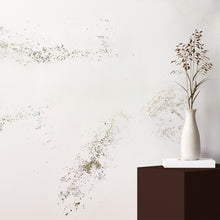Load image into Gallery viewer, Igneous Granite Wallcovering (Hand Painted)