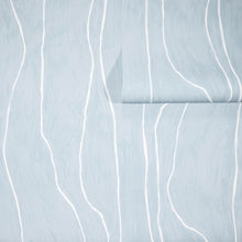 Load image into Gallery viewer, Sinuous Line Light Blue