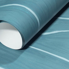 Load image into Gallery viewer, Sinuous Line Robins Egg