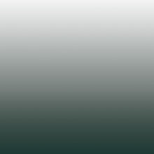 Load image into Gallery viewer, Ombre Pinyon Wallcovering