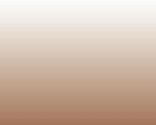 Load image into Gallery viewer, Ombre Clay Wallcovering