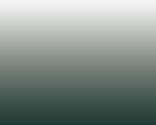 Load image into Gallery viewer, Ombre Pinyon Wallcovering