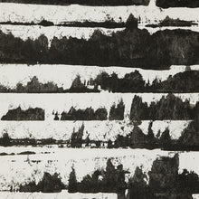 Load image into Gallery viewer, Aravalli Dinaric Wallcovering