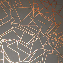 Load image into Gallery viewer, Angle Copper Rose Lead Grey Wallcovering
