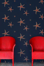 Load image into Gallery viewer, Starfish - Navy/Sienna Wallcovering