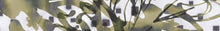 Load image into Gallery viewer, WT-116 R2 Wallpaper Mural