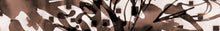 Load image into Gallery viewer, WT-116 R3 Wallpaper Mural