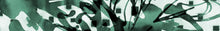 Load image into Gallery viewer, WT-116 R4 Wallpaper Mural