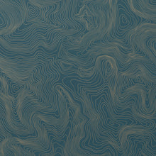Load image into Gallery viewer, Contour - Gold on Blue Wallcovering