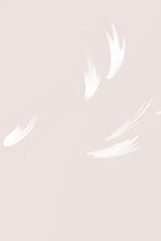 Load image into Gallery viewer, Falling Feather Blush Wallpaper