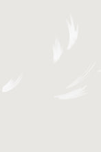 Load image into Gallery viewer, Falling Feather Cream Wallpaper