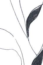 Load image into Gallery viewer, Vine Charcoal Wallpaper