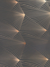 Load image into Gallery viewer, Fan Copper Rose Lead Grey Wallcovering