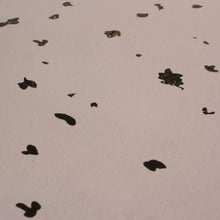 Load image into Gallery viewer, Fragments Wild Rose Wallcovering