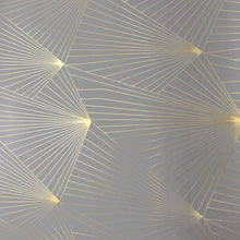 Load image into Gallery viewer, Fan Gold Zinc Grey Wallcovering
