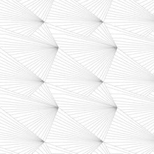 Load image into Gallery viewer, Fan Grey White Wallcovering