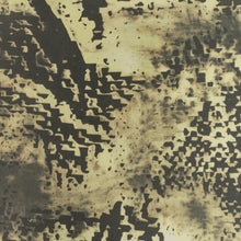 Load image into Gallery viewer, Golden Hour Fabric