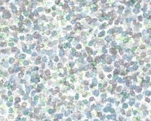 Load image into Gallery viewer, Hazel Precocious Wallcovering