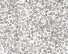 Load image into Gallery viewer, Hazel Monochrome Wallcovering