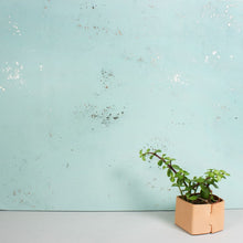 Load image into Gallery viewer, Igneous Olivine Wallcovering (Hand Painted)