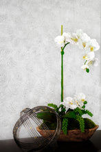 Load image into Gallery viewer, Sinuous Tulla Wallcovering