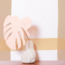 Load image into Gallery viewer, Natural Gifts - Clay and Blush on White Wallcovering