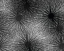 Load image into Gallery viewer, Lichtenberg Burst Wallcovering