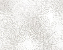 Load image into Gallery viewer, Lichtenberg Immersion Wallcovering