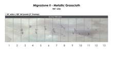 Load image into Gallery viewer, Migrazione II Wallcovering