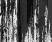 Load image into Gallery viewer, Shunan Drag Wallcovering