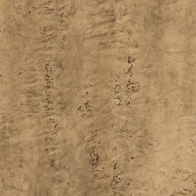 Load image into Gallery viewer, Traccia Gobi Wallcovering