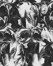 Load image into Gallery viewer, Abstraction in Black & White