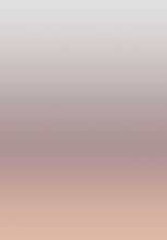 Load image into Gallery viewer, Ombre Coquette Wallcovering