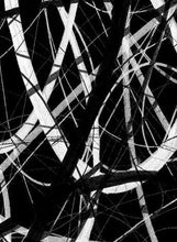 Load image into Gallery viewer, WT-332 Wallpaper Mural