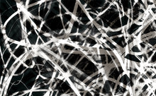 Load image into Gallery viewer, WT-395 R1 Wallpaper Mural