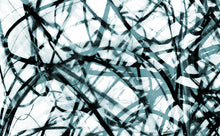 Load image into Gallery viewer, WT-395 R2 Wallpaper Mural