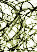 Load image into Gallery viewer, WT-395 R3 Wallpaper Mural