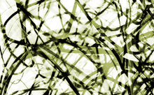Load image into Gallery viewer, WT-395 R3 Wallpaper Mural