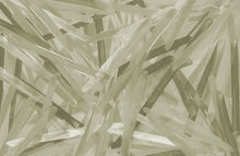 Load image into Gallery viewer, WT- 642 R4 Wallpaper Mural