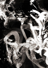 Load image into Gallery viewer, WT- 894 R1 Wallpaper Mural