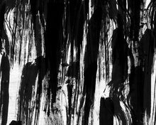 Load image into Gallery viewer, Zhang Power Wallcovering