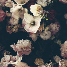 Load image into Gallery viewer, Dutch Love Multi Wallcovering